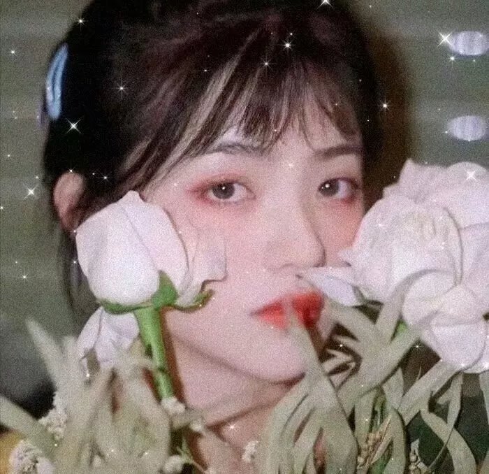 真爱如血第五季